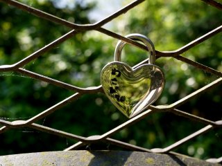 This lovers&#39; padlock on a fence reminds me of the Pont des Arts Bridge in Paris