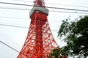 Tokyo Tower with&nbsp;Zojoji Temple