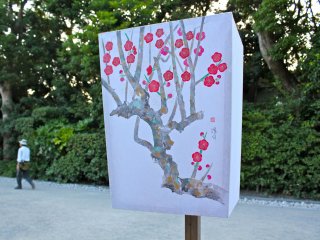 Also known as dankazura, start your journey to view the bonbori on the raised cherry tree pathway.