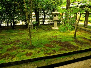 This garden is located in front of Buddha Hall, on the right side of the Hojo building