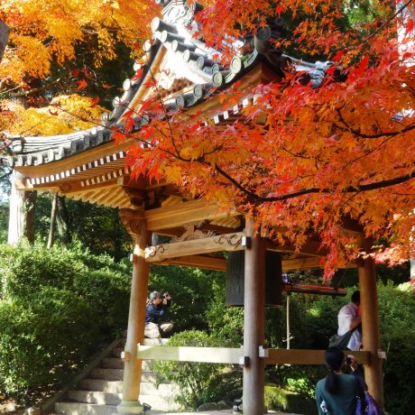 Daikozen Temple