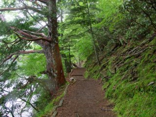 A typical hiking path along Yuno-ko Lake
