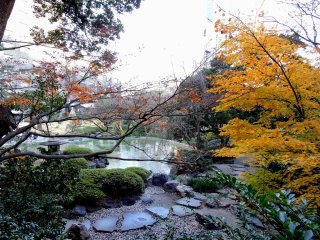Stepping stones under yellow leaves by the garden pond