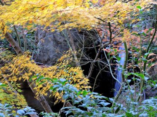 Yellow and orange leaves in front of a small waterfall