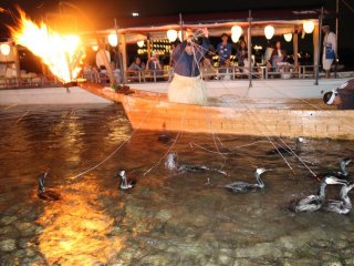 I was lucky enough to witness twice the Japanese traditional method of fishing in Gifu.  This fishing method known as cormorant fishing or ukai has been around for 1300 years.  The whole experience is very interesting as it is one-of-its kind.  On top of 