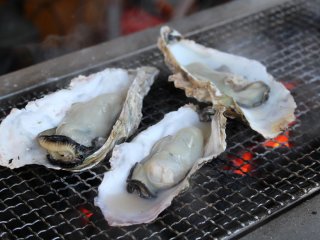Grilling oysters outside Shiogama Fish Market