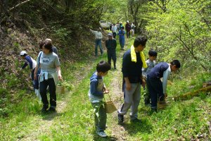 Gathering mountain and woodland vegetables in the spring