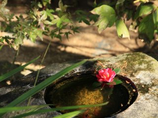 Tsukubai, a stone water basin in the garden