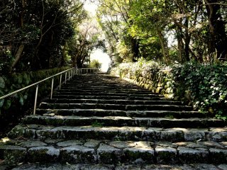 Steps up to the&nbsp;Yokoyama Observation Point