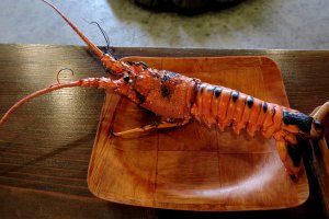 Delicious spiny lobster