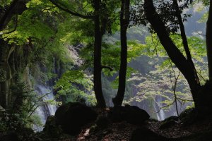 First glimpse of Shiraito Falls