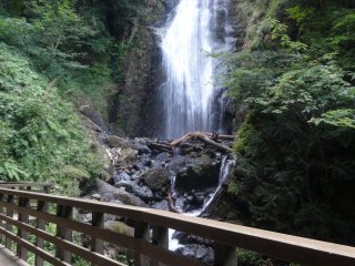 Thirty minutes into the hike, you&#39;ll come across the Mikaeri Falls