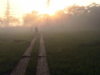 A hiker walks along a wooden path in Oze, which makes it easier to hike the marshes.