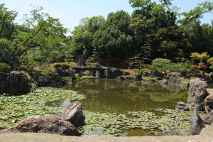 The pond in the main garden