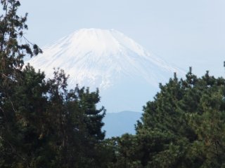 View of Mt Fuji from Children's Nature Park