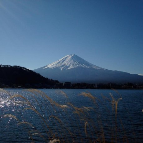 Splendid Day around Lake Kawaguchi