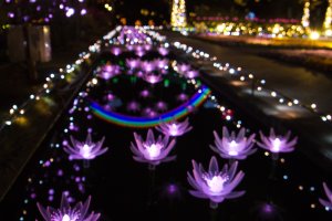 The gorgeous and intricate lotus lights