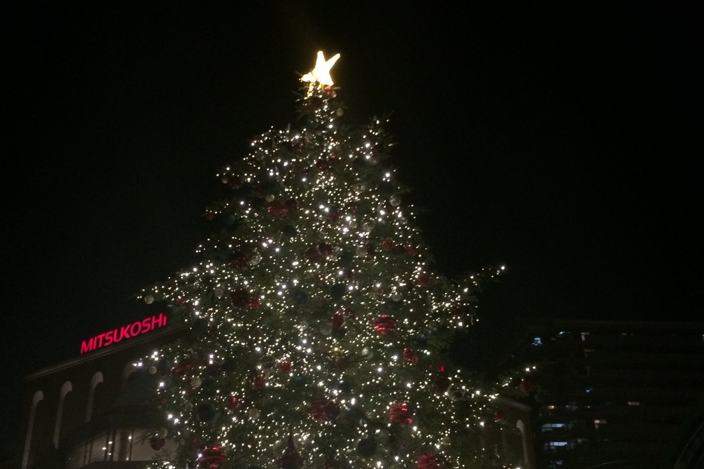 Giant Christmas tree.