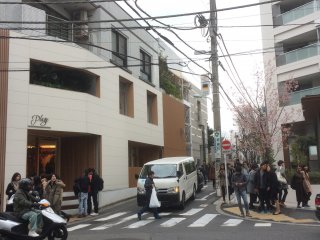 Daikanyama's streets are funky and modern, with sprinklings of cherry blossom from late Feburary