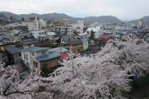 The view to Yudanaka Shibu Onsen