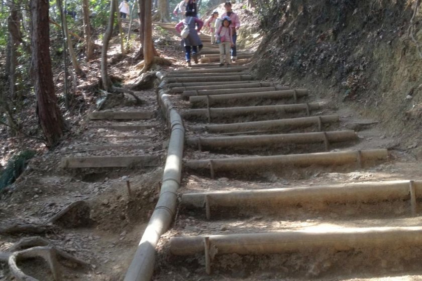 Inariyama Trail - Steps, Steps, Steps