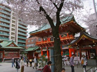 The shrine is surrounded by the daily life of the Japanese people