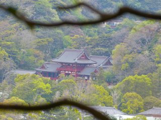 A distant view of Tsurugaoka Hachimangu Shrine