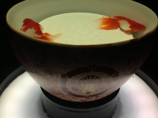 Two goldfish in a huge teacup -- elegance.
