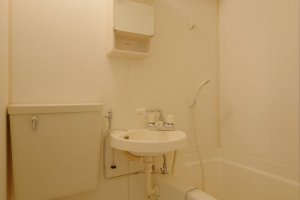 Typical apartment bathroom facilities