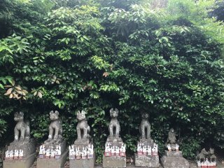 More statues at Jozan Inari Shrine