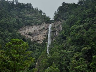 The view of Nachi-no-otaki waterfall is impressive from any angle. This shot was taken from the nearest road to the falls