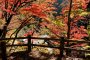 Autumn Colors at Shosenkyo Gorge