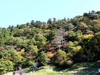 Nature in Naruko