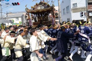 A typical mikoshi scene in Japan