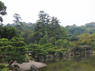 View of the Japanese garden