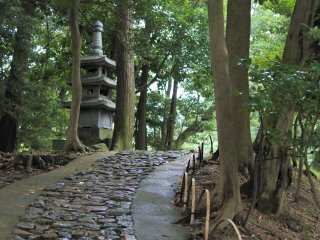 Japanese garden path