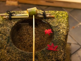 Tsukubai（A ritual washing bowl）
