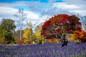 Top Things to Do in Obihiro, Japan