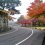 A Foggy Autumn Day at Aizuwakamatsu Castle