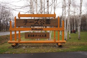The Cheese Factory is a must-visit for anyone visiting&nbsp;Furano.&nbsp;