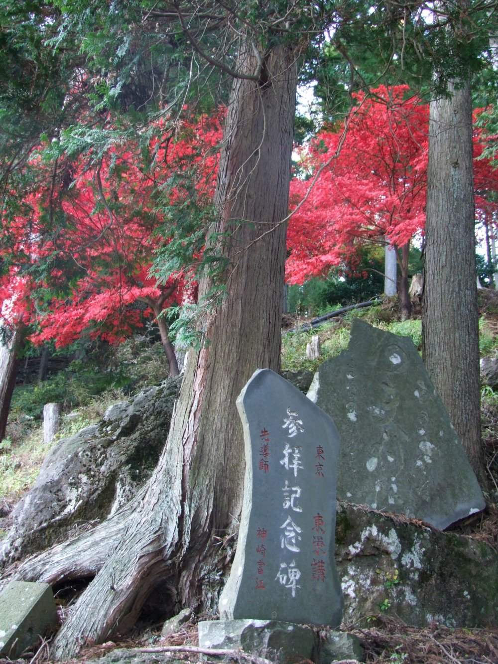 Ascending Oyama in November