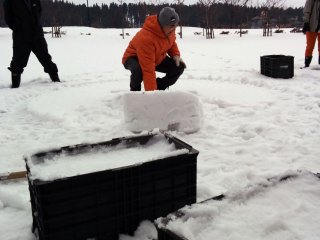 Bricks are made by shoveling snow into this boxes which have one side open. Compact the snow with your foot, slide the brick out, then get stacking!