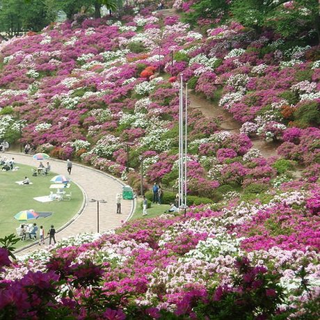 Nishiyama Park