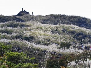 Nhìn lên sườn núi Io, được bao phủ bởi cỏ lau susuki mềm mại, từ đầu Tuyến đường số Một