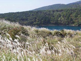 Bạn sẽ có thể ngắm Hồ Fudo xinh đẹp khi đi bộ lên cao