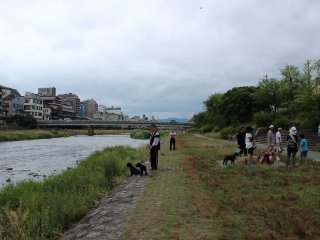 The bank near the Gojo and Shijo areas of Kyoto. You can see many locals enjoying a stroll along the river bank.