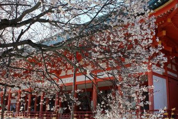 Kyoto's Heian Jingu Shrine