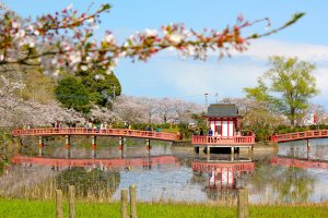 Pohon sakura mengelilingi kolam besar untuk menyoroti Bentendou