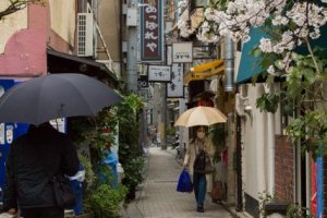 This might be the smallest street in Kyoto; it&#39;s a side street of Kiyamachi Dori, from Shijo Dori towards Gojo Dori, just about 50 meters in length. The street is lined with sakura trees