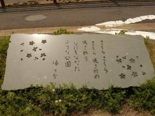 Stone monument of a poem on cherry blossoms written by Machi Tawara, a popular modern poet in Japan